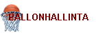 PALLONHALLINTA